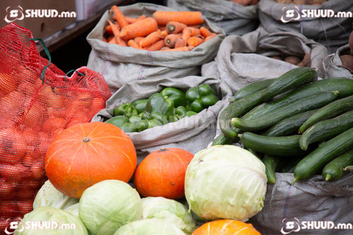 Сурвалжилга: Шинэ ургацын ногоо өмнө жилээс 500-1000 төгрөгөөр нэмэгджээ